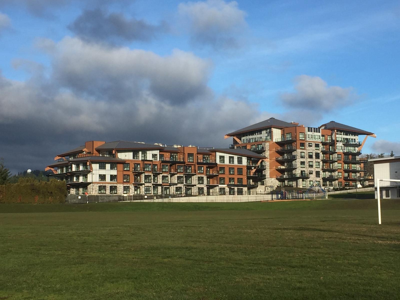 Showcase thumbnail 31