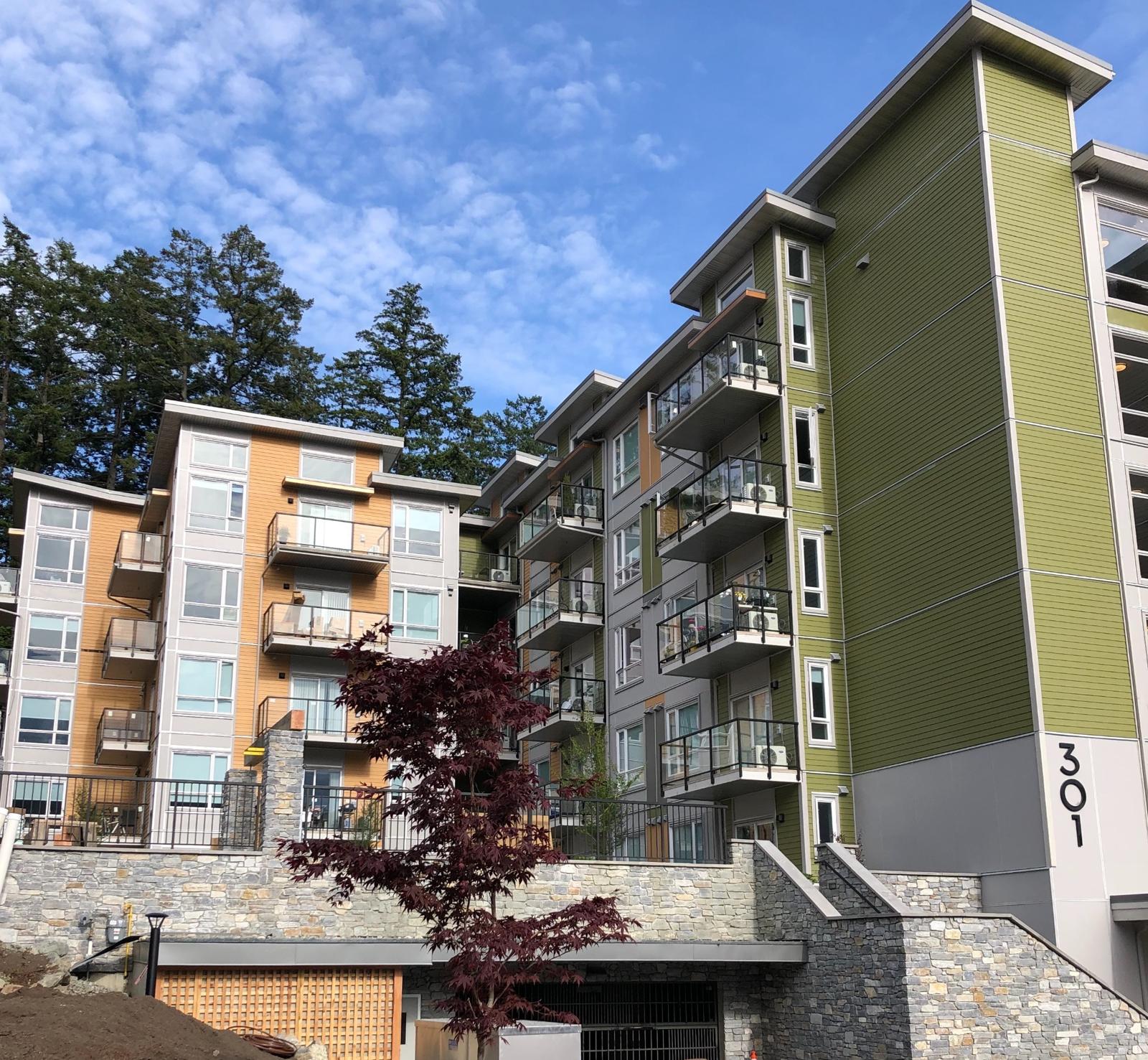 Showcase thumbnail 55